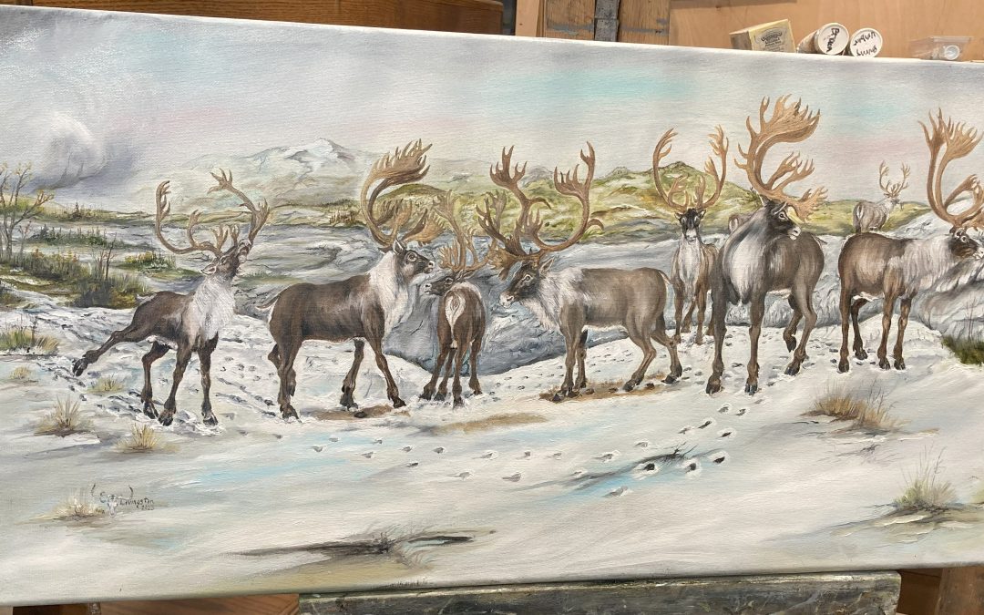Northern Caribou Heard